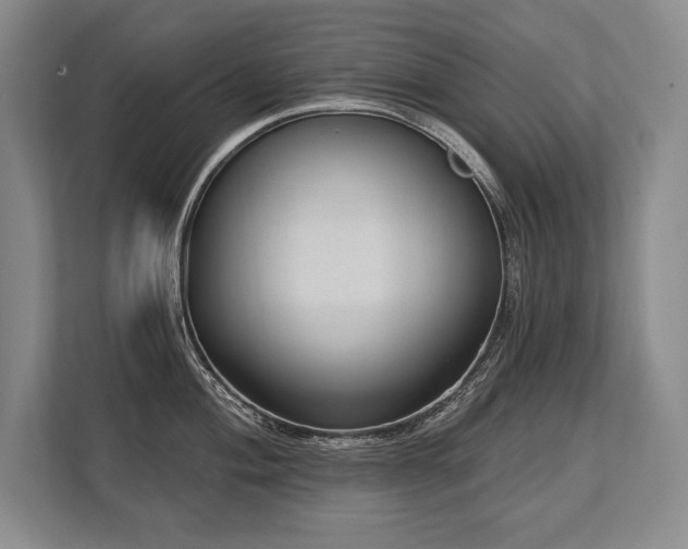 X0000113741004200909231148