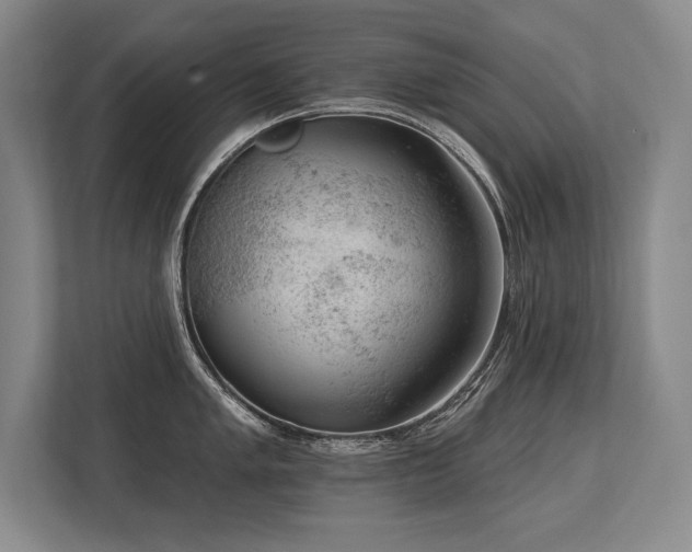 X0000113741005200909231148