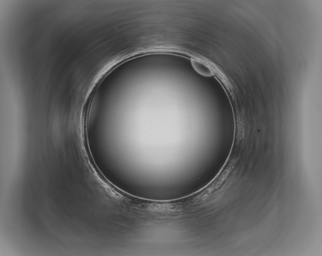 X0000113741006200909231148