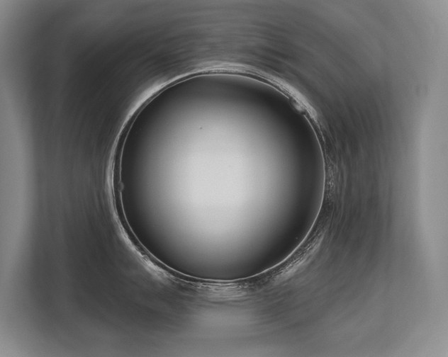 X0000113741007200909231148