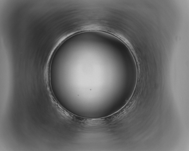 X0000113741008200909231148