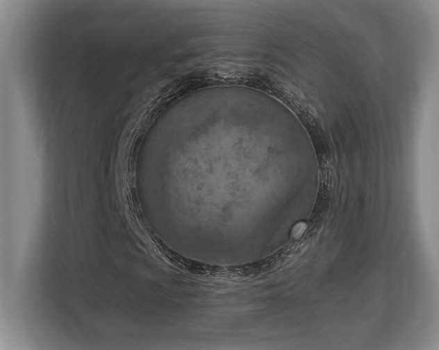 X0000113741009200909231148