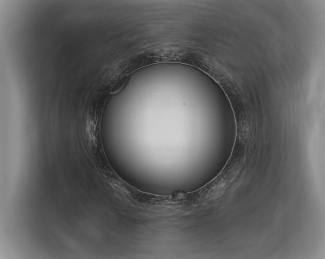 X0000113741010200909231148