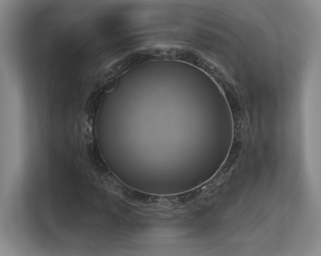 X0000113741013200909231148
