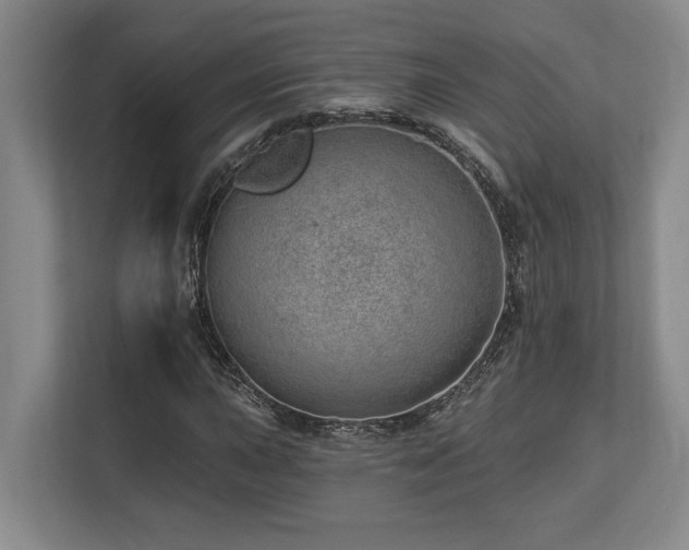 X0000113741015200909231148