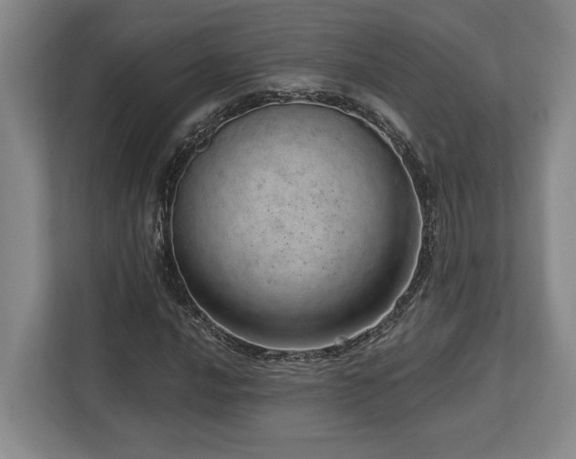 X0000113741016200909231148