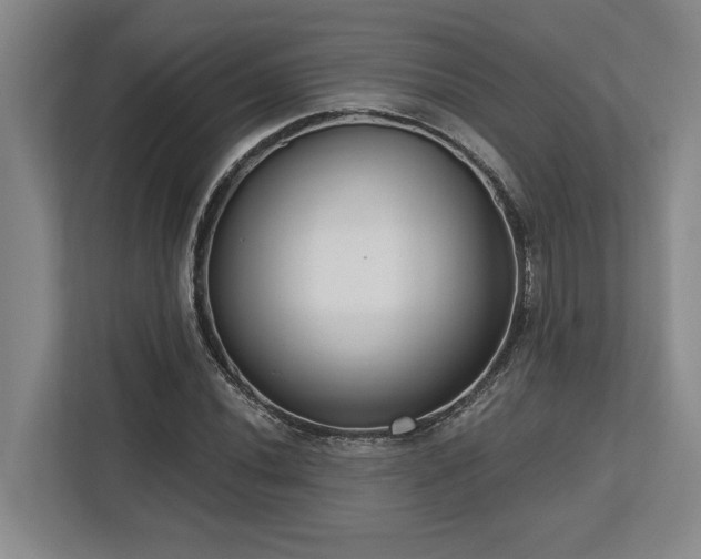 X0000113741020200909231148
