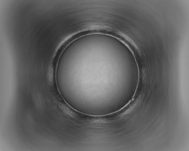 X0000113741021200909231148