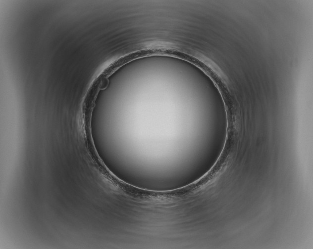 X0000113741022200909231148
