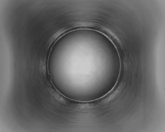 X0000113741025200909231148