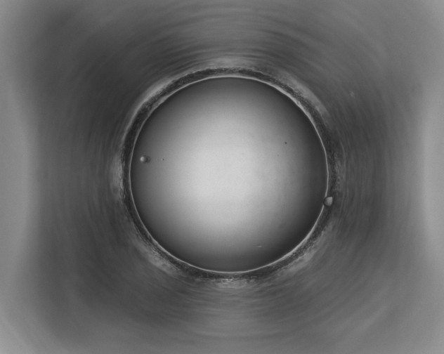 X0000113741029200909231148