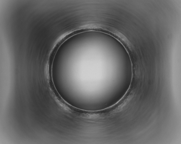 X0000113741030200909231148