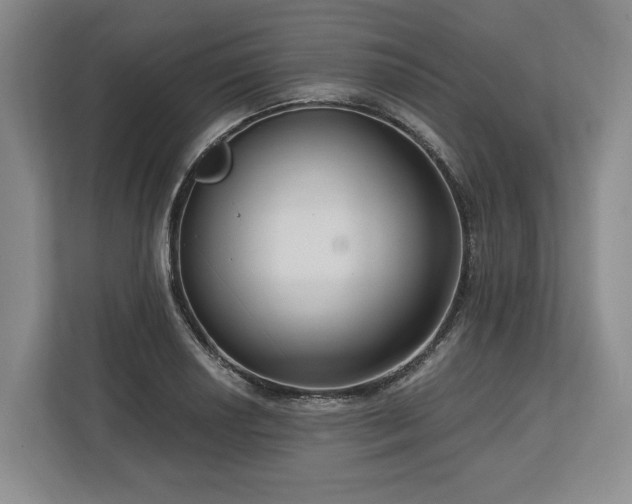 X0000113741034200909231148