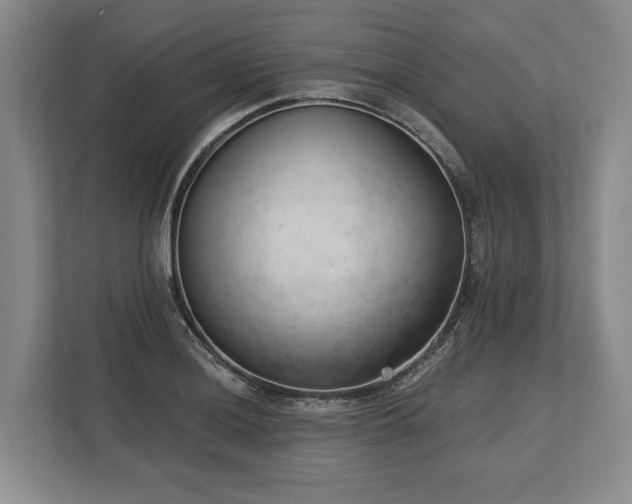X0000113741036200909231148