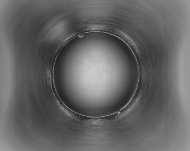 X0000113741041200909231148