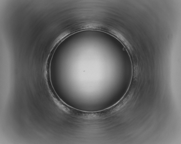 X0000113741042200909231148