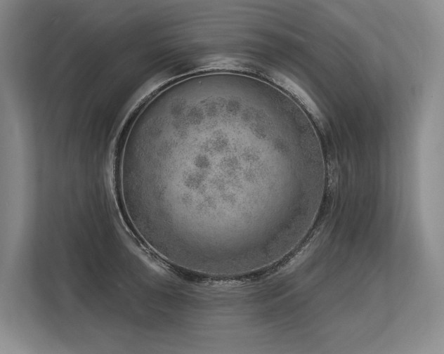 X0000113741043200909231148