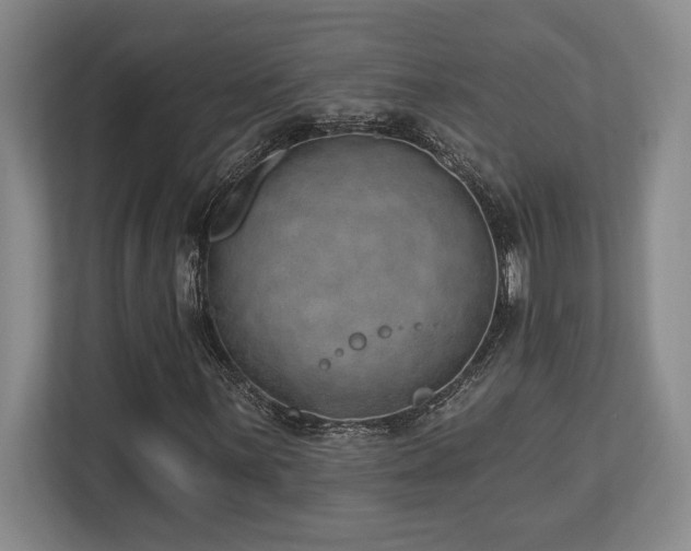 X0000113741059200909231147