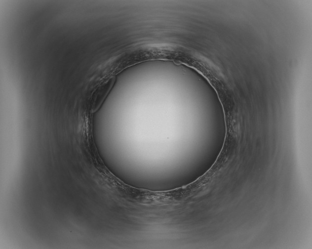 X0000113741061200909231147