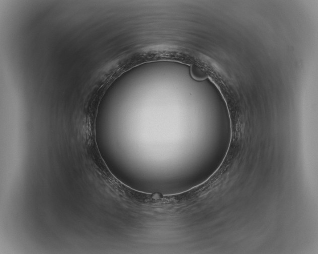 X0000113741062200909231147