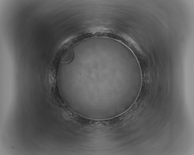 X0000113741063200909231147
