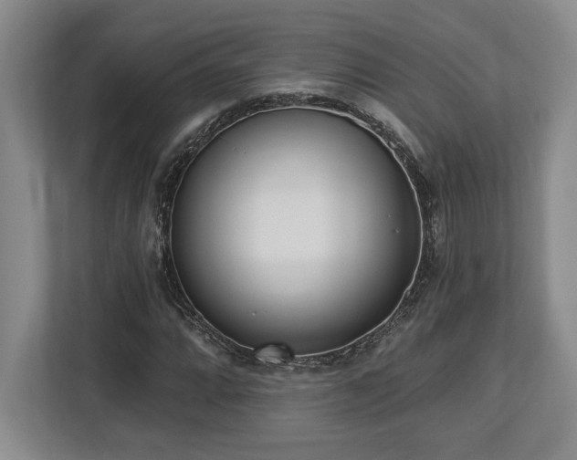 X0000113741064200909231147