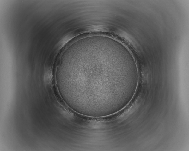 X0000113741065200909231147