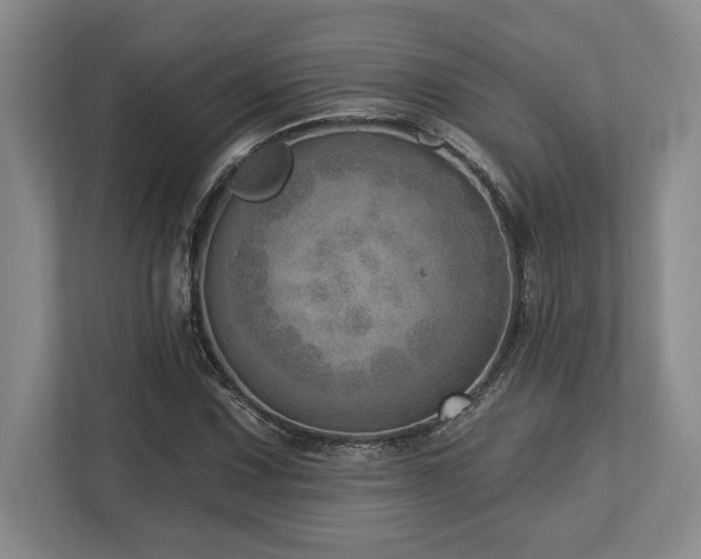 X0000113741067200909231147