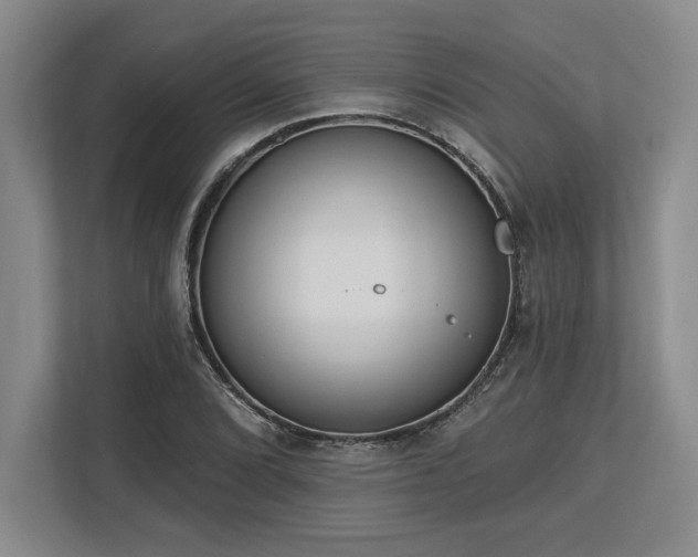 X0000113741072200909231147