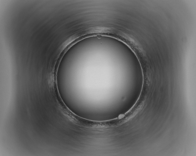 X0000113741073200909231147