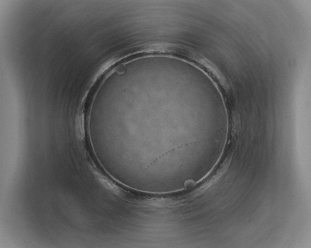 X0000113741075200909231147