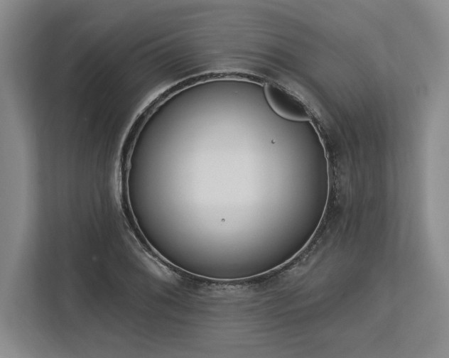 X0000113741076200909231147