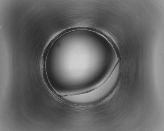 X0000113741077200909231147
