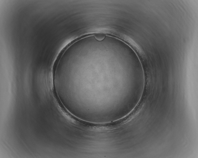 X0000113741079200909231147