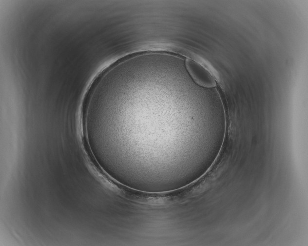 X0000113741080200909231147