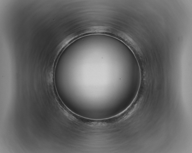 X0000113741081200909231147