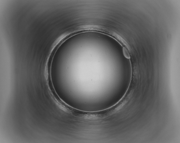 X0000113741082200909231147