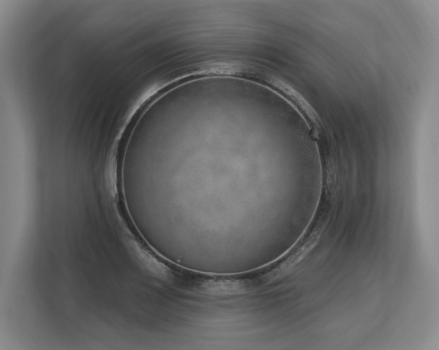 X0000113741083200909231147