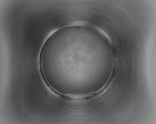 X0000113741087200909231147