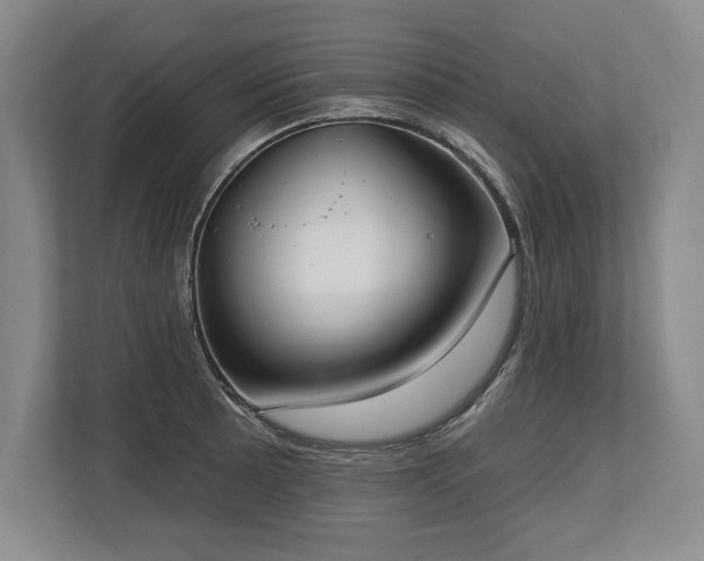 X0000113741089200909231147