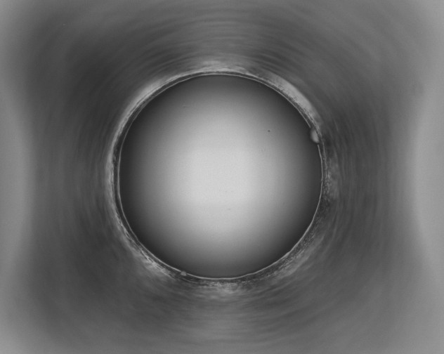 X0000113741096200909231147