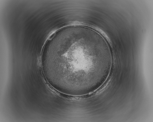 X0000113741097200909231147