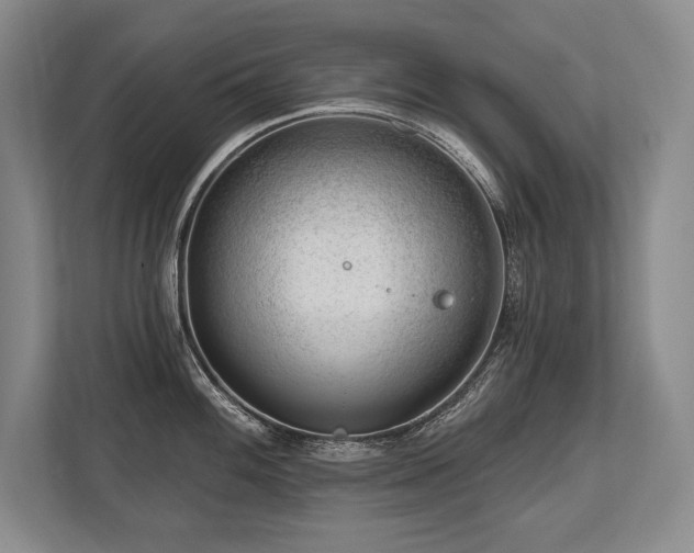 X0000113741100200909231147