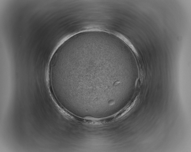 X0000113741101200909231147