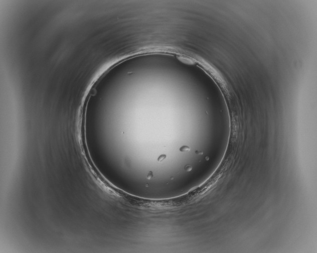 X0000113741102200909231147