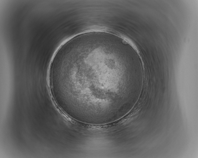 X0000113741104200909231147