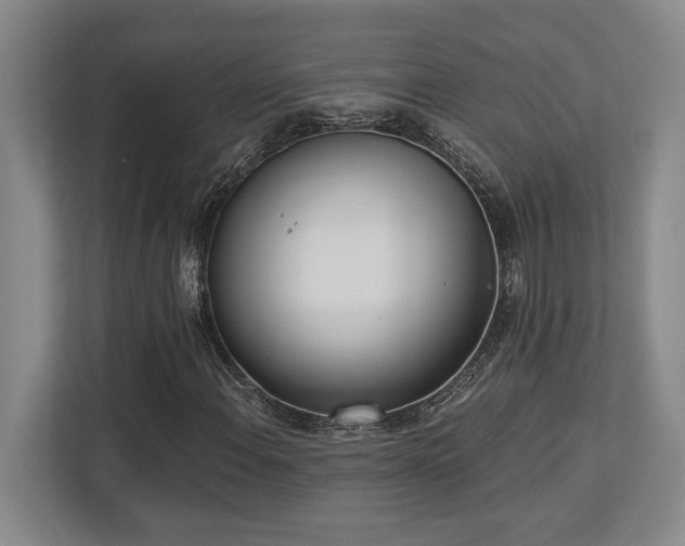 X0000113741108200909231146