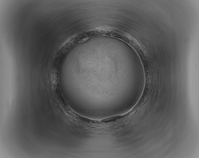 X0000113741110200909231146
