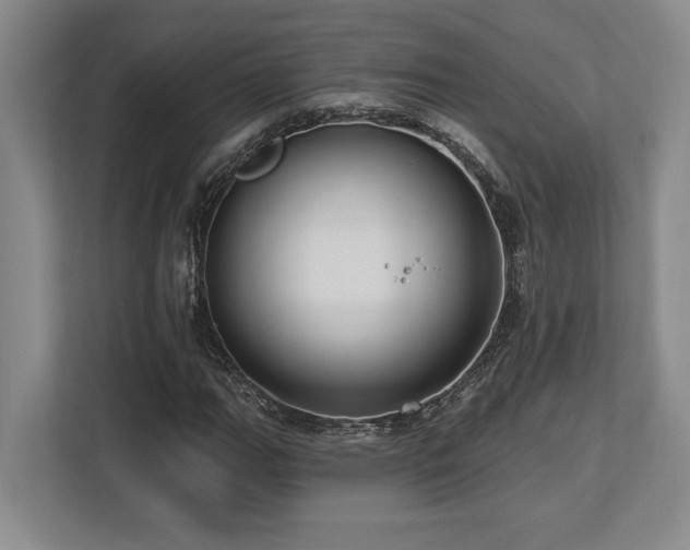 X0000113741111200909231146