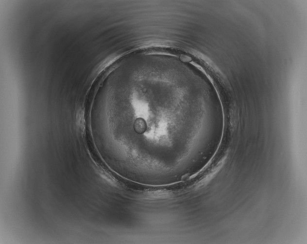 X0000113741113200909231146